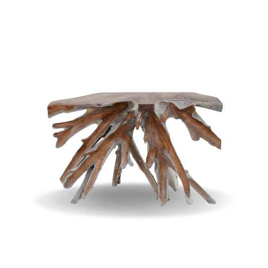 Teak Root Table - Front View
