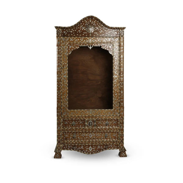 Straight View of Antique Syrian Single Door Multipurpose Cabinet with Hollow Framed Door